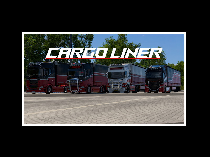 Logo Partenaire 1